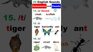 44 English Sounds 2  Consonants and Vowels [upl. by Sialac381]