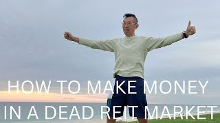 HOW TO MAKE MONEY IN A DEAD REIT MARKET [upl. by Ativel]