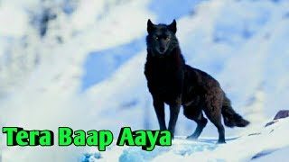 Tera Baap Aaya  Knock Knock Tera Baap Aaya  Full Song 2020 [upl. by Alfreda]