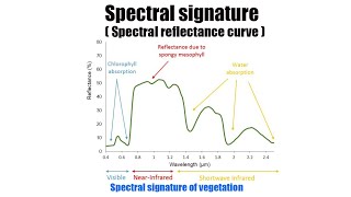 SPECTRAL SIGNATURE IN REMOTE SENSING [upl. by Nniuqal]