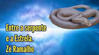 Entre a serpente e a estrela  Zé Ramalho [upl. by Kiyohara]