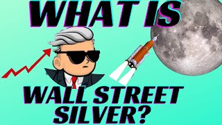 Wall Street Silver on Reddit [upl. by Danczyk]