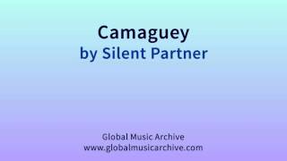 Camaguey by Silent Partner 1 HOUR [upl. by Rawlinson]