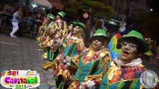 carnaval desfile das campeÃ£s do rio de janeiro [upl. by Luella]