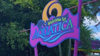 Aquatica Orlando Water Park 2024 Florida  Walking Tour [upl. by Ybot]