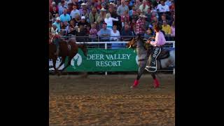 8 second bareback bronc riding buckaroo stuck like glue shorts [upl. by Theall]