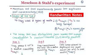 Meselson amp Stahls Experiment [upl. by Cestar]