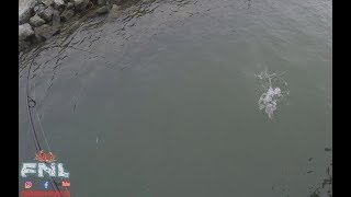 HMB Pier Fishing  I CAUGHT A LING [upl. by Nirmak]