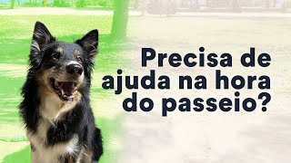 Dificuldades no passeio com cachorro Confira dicas  Petz TV Comportamento [upl. by Eednyl]