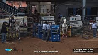 2020 AQHA Senior Heading [upl. by Lered]