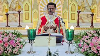 Holy Mass December 16 Saturday I 530 AM I Malayalam I Syro Malabar I Fr Bineesh Augustine [upl. by Froehlich133]