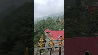 Love Darjeeling a Himalayan life love travelwestbengal siliguritravel darjeeling shorts [upl. by Yttig]