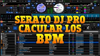 SERATO DJ PRO CACULAR LOS BPM VIDEO PARA PRINCIPIANTE [upl. by Baynebridge354]