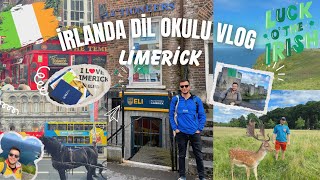 İRLANDA DİL OKULU VLOG  LİMERİCK [upl. by Morice674]