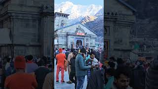 Blessings from Kedarnath  Top Mahadev Status for WhatsApp amp Reels shorts short mahadev [upl. by Melvina]