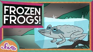 The Secret of Frozen Frogs  Winter Science  SciShow Kids [upl. by Scoville]