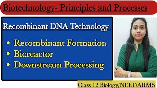 Bioreactor  Downstream Processing  Biotechnology  Principles and ProcessesClass 12 BiologyNEET [upl. by Nosnor]