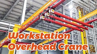 5 Surprising Benefits of Having a Workstation Overhead Crane in Your Factory [upl. by Masera]