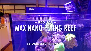 Red Sea Max Nano Cube Schaubecken Show Reef Tank Plug amp Play Meerwasser Korallen Aquarium Nemo [upl. by Anselme]