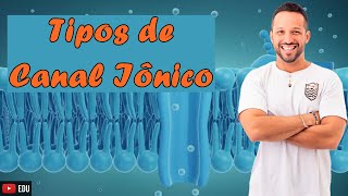 Tipos de Canal Iônico  Sem Comporta e Com Comporta  Permeabilidade da Membrana  Citologia [upl. by Gimpel20]