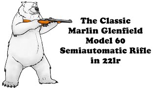 Marlin Glenfield Model 60 22lr [upl. by Golightly169]