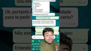 O Emprego  Parte 1 [upl. by Penni]