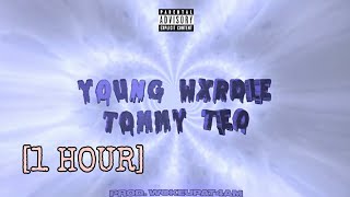 1 HOUR quotYoungzquot  Ver Tommy Tèo  Lucin3x Mixed [upl. by Arlen]