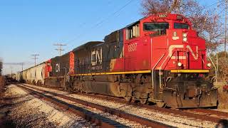 Canadian National L557 at Pekin IL  Nov 12 2024 [upl. by Javier509]