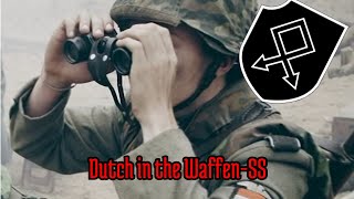 23 SS FreiwilligenPanzergrenadierDivision Nederland  episode 23 all waffenSS divisions [upl. by Reeher]