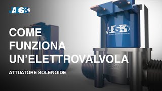 Come funziona unelettrovalvola Attuatore solenoide  Valvole idrauliche [upl. by Sexton]