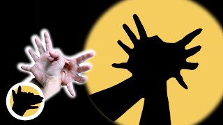 HOW to Make a SPIDER Shadow with Your Hands 👐🕷️ Hand Shadow SPIDER [upl. by Leroj]