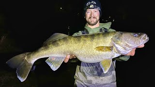 HUGE WALLEYE Breaks 7 State Records New PB [upl. by Okiam974]