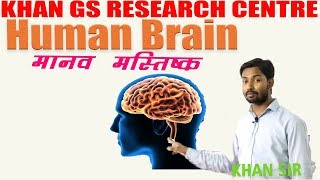 Biology  Human Brain मानव मस्तिष्क  Khan GS Research Center  Patna [upl. by Haya]