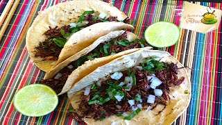 Receta de chapulines con limon y sal [upl. by Nerot100]