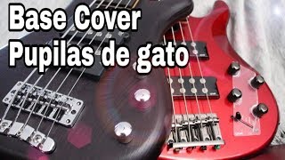 Pupilas de gato  Luis Miguel bass cover vicglez [upl. by Armington]