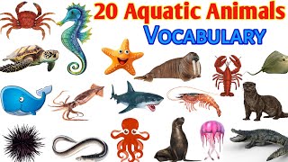 20 Water Animals Name in english  Aquatic animals for kids  Sea Animals Name [upl. by Othella]