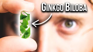 Surprising Ways Ginkgo Biloba Can Improve Your Brain [upl. by Ivek]