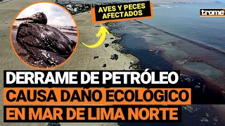 DERRAME DE PETRÓLEO de empresa REPSOL ocasiona DESASTRE ECOLÓGICO en mar de Lima Norte [upl. by Eeladnerb]