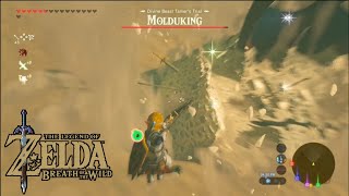 Average first encounter with Molduking in Legend of Zelda breath of the wild zelda [upl. by Aimee]