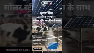 Solar Street Light Eco Friendly System [upl. by Nilya]