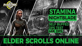 ESO  Stamina Nightblade 46k Self Buffed Target Skeleton DPS Test [upl. by Siraf]