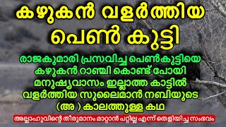 കഴുകൻ വളർത്തിയ പെൺകുട്ടി malayalamislamicspeech islamichistorymalayam [upl. by Acirretal32]