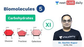 Biomolecules  Lecture 5  Carbohydrates  Unacademy NEET  Live Daily  Biology  Sachin Sir [upl. by Nanor]