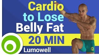 Cardio Workout to Lose Belly Fat at Home [upl. by Aia]