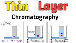 Thin Layer Chromatography TLC [upl. by Narbig]