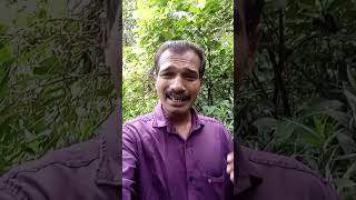 മാണിക്യം വിതറിയ മലയാളം സോങ് song malayalalm [upl. by Block965]