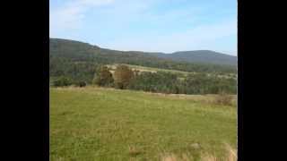 Українська народна пісня Ой убрали Куста Ukrainian Folk Song Ukraińska pieśń Beskid Niski Zdjęcia [upl. by Marozas770]