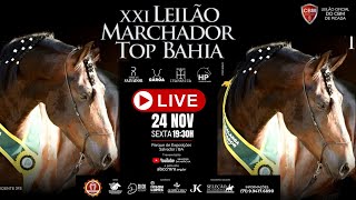 21° LEILAO MARCHADOR TOP BAHIA 2411 SEXTA FEIRA [upl. by Akalam]