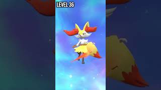 Fennekin  Braixen  Delphox  Evolution Pokemon in Scarlet amp Violet pokemon evolution shorts [upl. by Nauq]