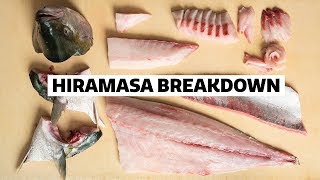 How to fillet a YELLOWTAIL for SUSHI [upl. by Vachel335]